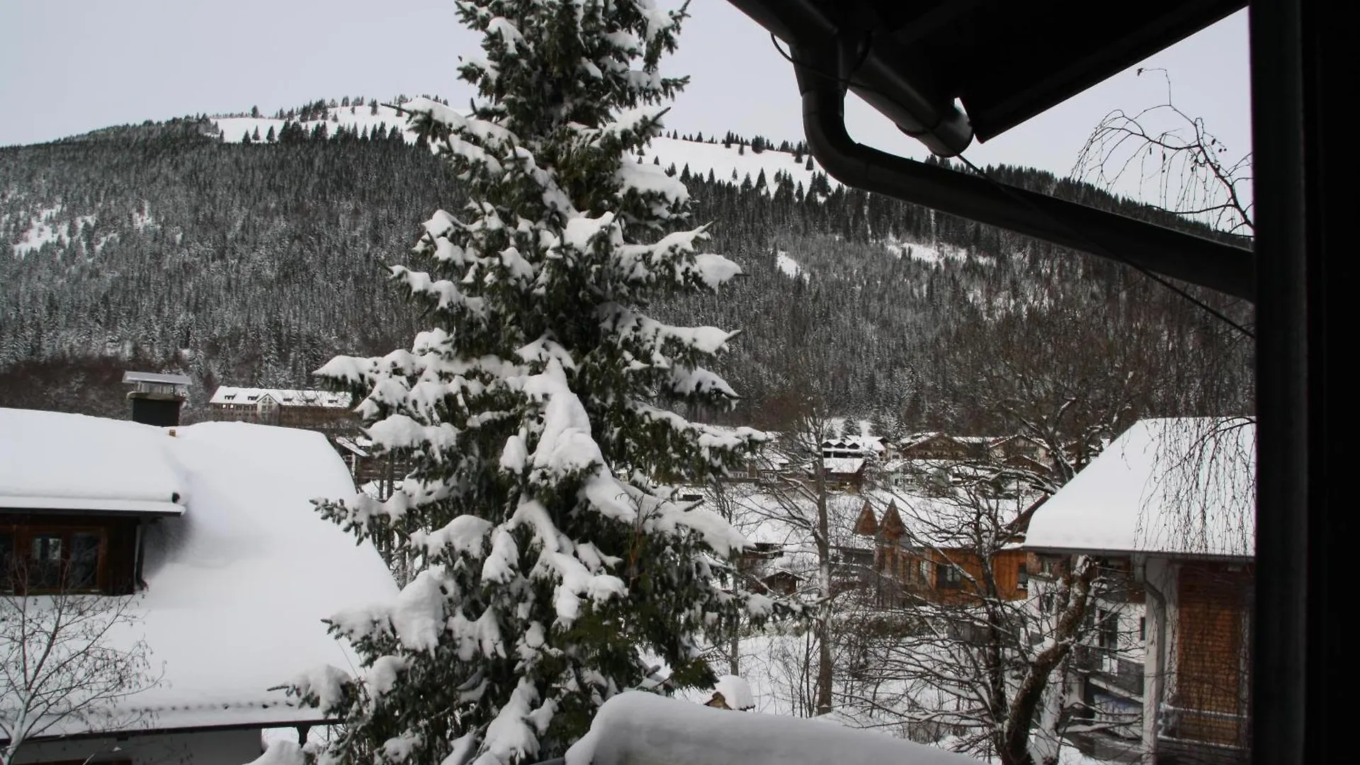 Apartment Ferienwohnung Bachmann Oberjoch